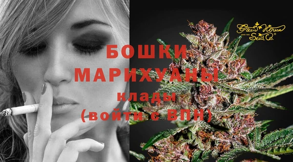 мяу мяу мука Елизово