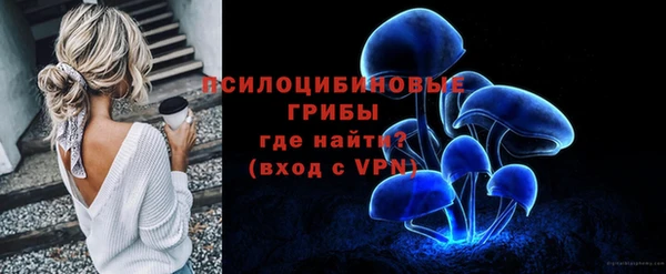 мяу мяу мука Елизово